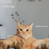fgjfx59