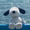 snoopy_fan_17