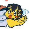strayjays