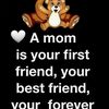 user5212237018460