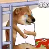 meily._.cutii