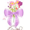 jamy7545