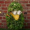 emelia_2312