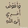 hanin.hanin9282