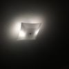 apple.user46837709