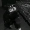 jhaxz_rp