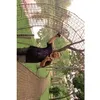 user9581471094538