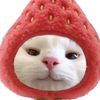 furinakayeaaa
