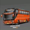 official_orange_amder001