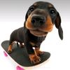 doggylover956
