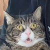 iiuu