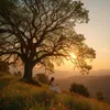 Natureiscallin