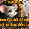 chithanh9000