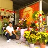 v.cy.cnh.hoa.lan.9