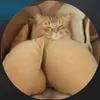casadealuguel_
