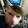 ivanonbksjv
