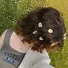 evu__17
