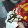 darlinns2