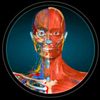 Medical world 3d