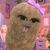 _aurly1