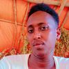 wiilqaran____1
