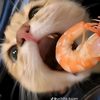 peet_072