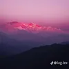 nguyn.qun7447