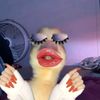 _caca_cbd_