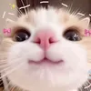 clairloveruby