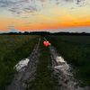 hossem613