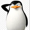 user8361540184592