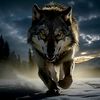 wolf3dx