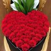 user9800672470156