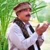 372malikarshad