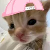 emneanh000