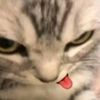 chocothread612