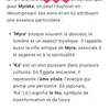 myraka.el.hombre