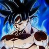 user7375636505061
