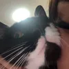 jasssyspammyy