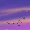 hg.dkw