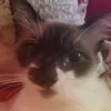 pedrolisboa2.0