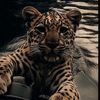 ilkinn_222