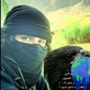 saad_afridi_313