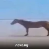 manera_zheleznyj1