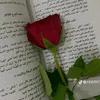 user65279980278030