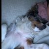 urlocal_hispanic6