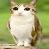 qwack67