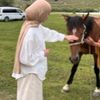 .asma424