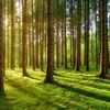 EcoFactor
