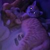 millythcat